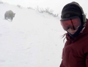 La discesa da brividi nella stazione sciistica giapponese: l'orso insegue la snowboarder (VIDEO)