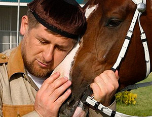 I cavalli da corsa di Kadyrov sono invecchiati in Repubblica ceca a causa delle sanzioni / Altri destrieri del boss della Cecenia continuano a partecipare a gare importanti